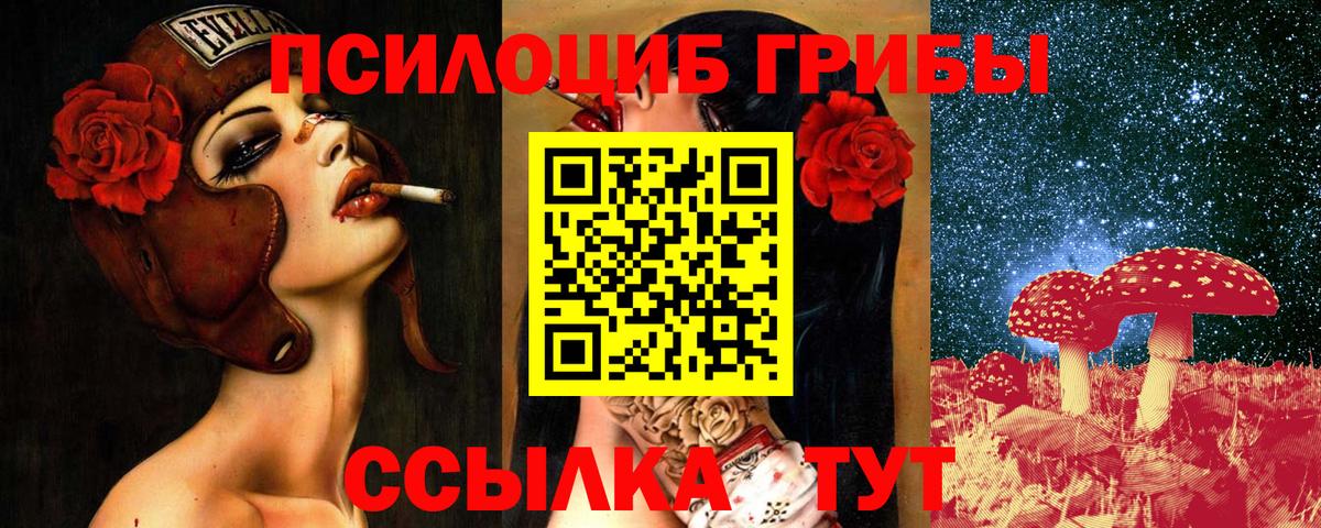 Псилоцибиновые грибы прущие грибы Симферополь