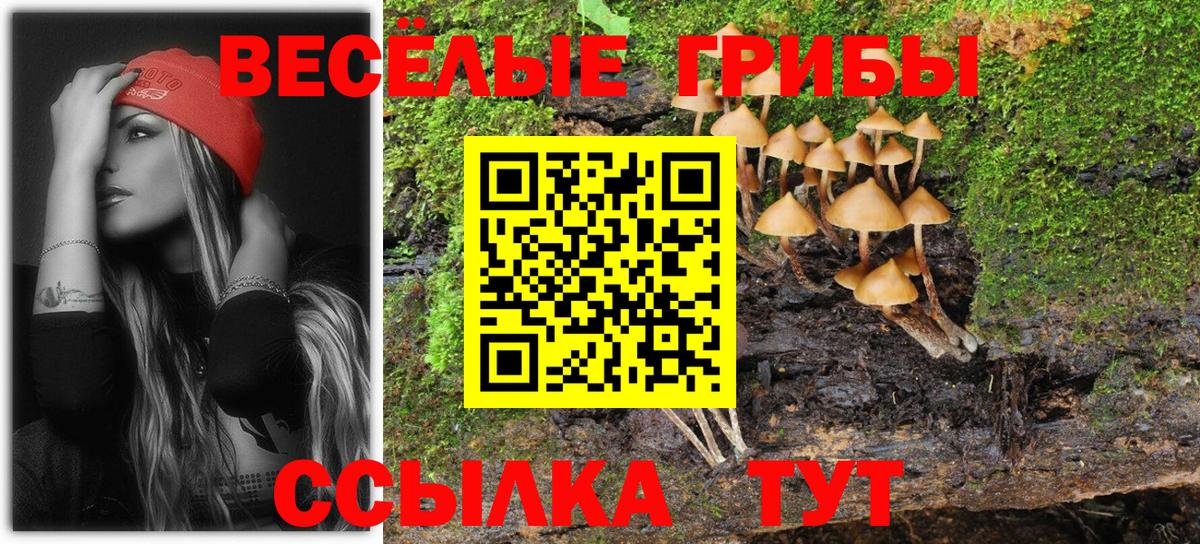 Псилоцибиновые грибы прущие грибы  Вход с VPN  Симферополь  Псилоцибиновые грибы Psilocybe 